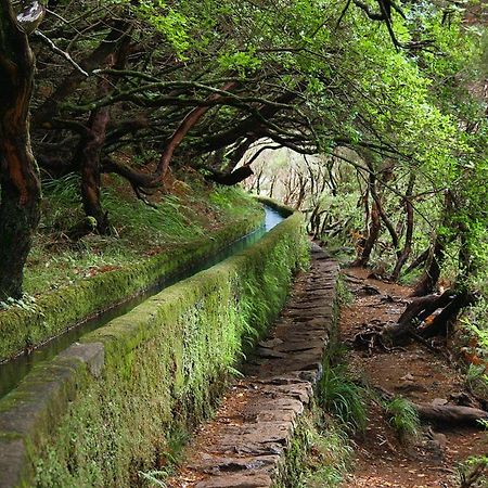 فيلا Moradia Ponte De Pedra São Vicente المظهر الخارجي الصورة