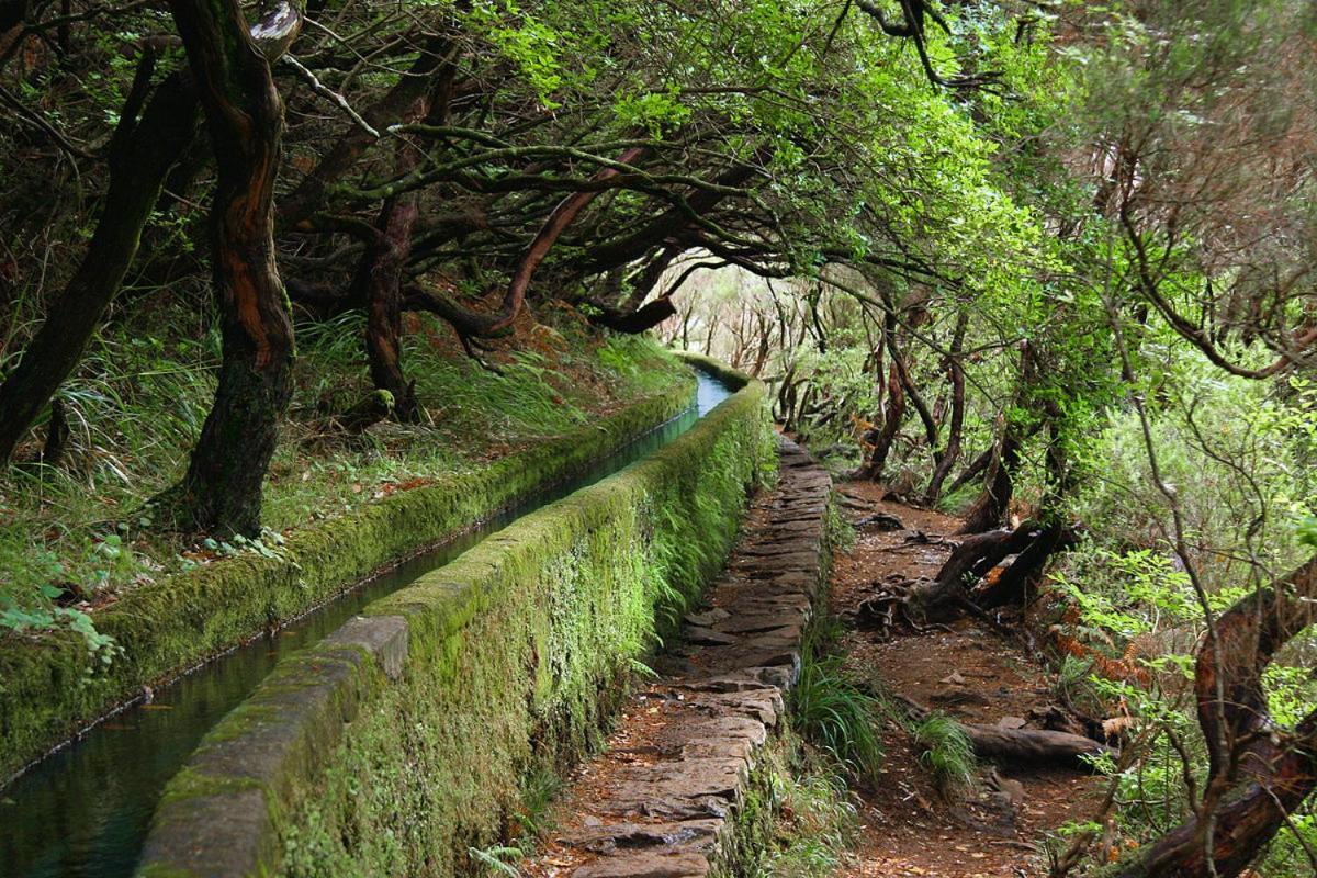 فيلا Moradia Ponte De Pedra São Vicente المظهر الخارجي الصورة
